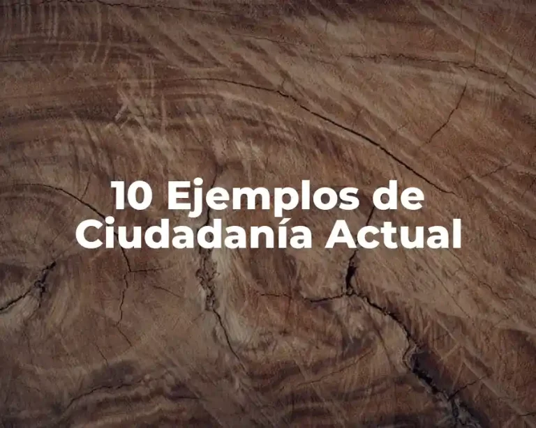 10 Ejemplos de Ciudadanía Actual