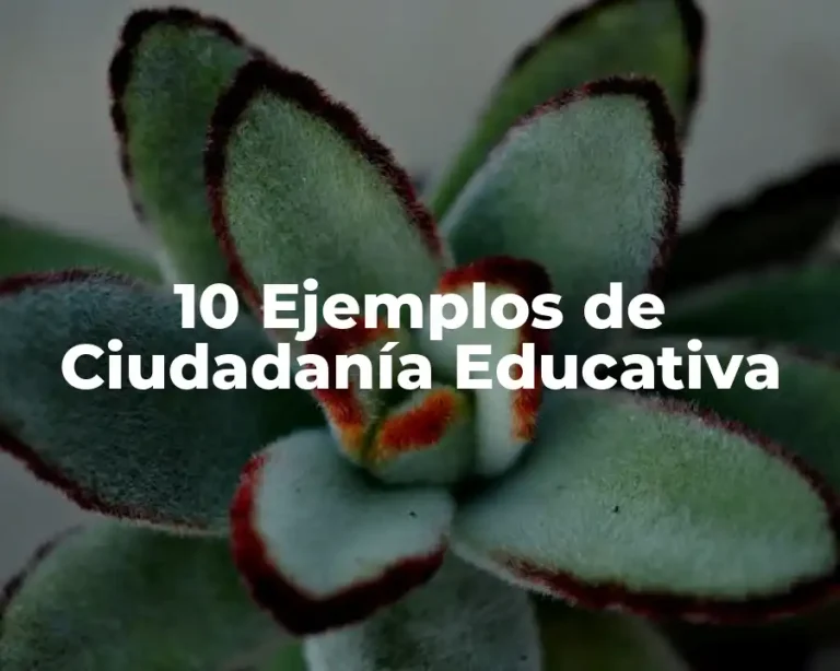 10 Ejemplos de Ciudadanía Educativa