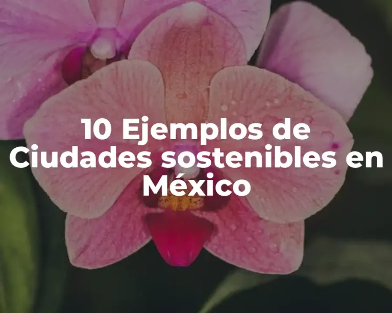 10 Ejemplos de Ciudades sostenibles en México