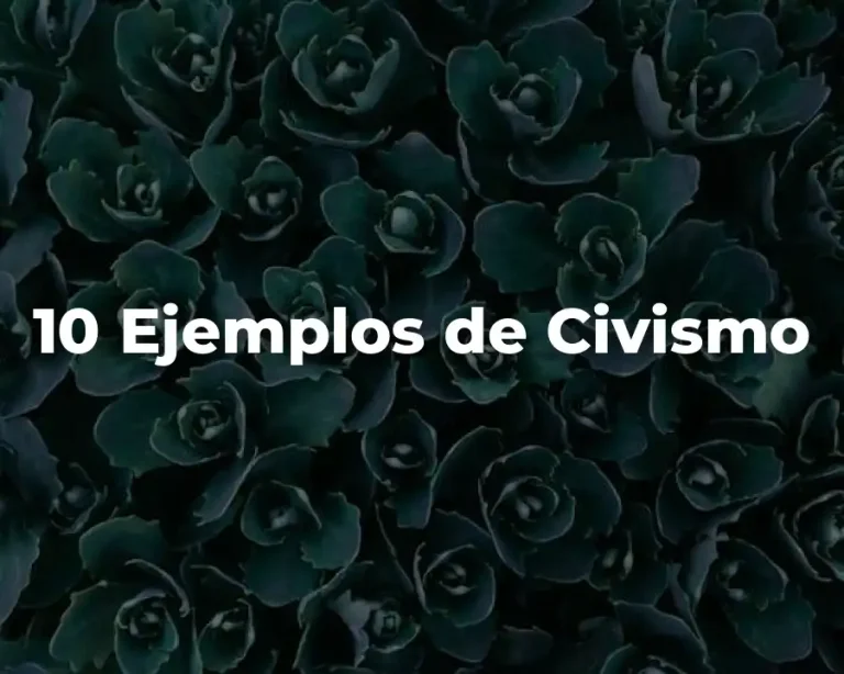 10 Ejemplos de Civismo