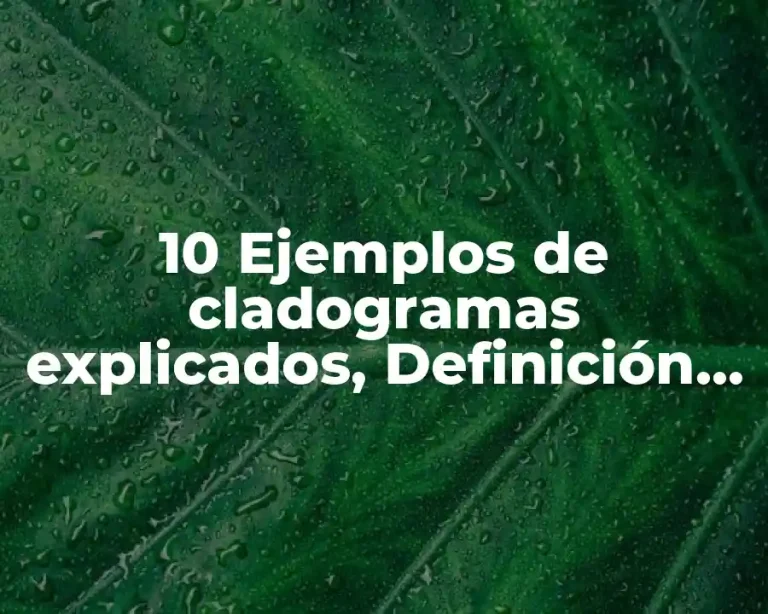 10 Ejemplos de cladogramas explicados, Definición, Diferencias y para que sirve