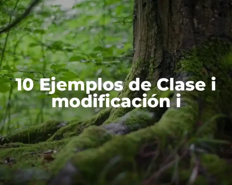 10 Ejemplos de Clase i modificación i