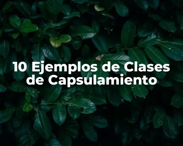 10 Ejemplos de Clases de Capsulamiento