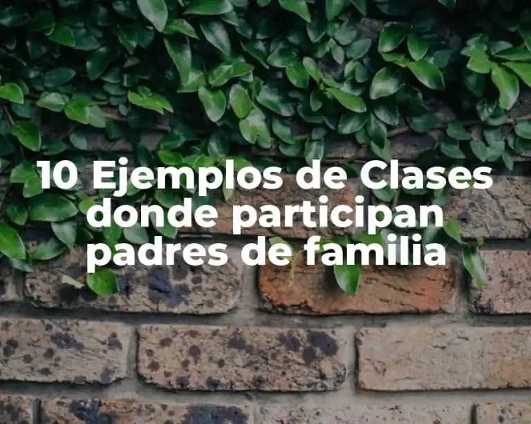 10 Ejemplos de Clases donde participan padres de familia