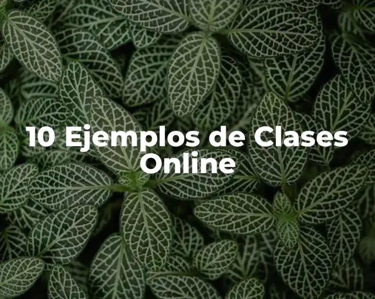 10 Ejemplos de Clases Online