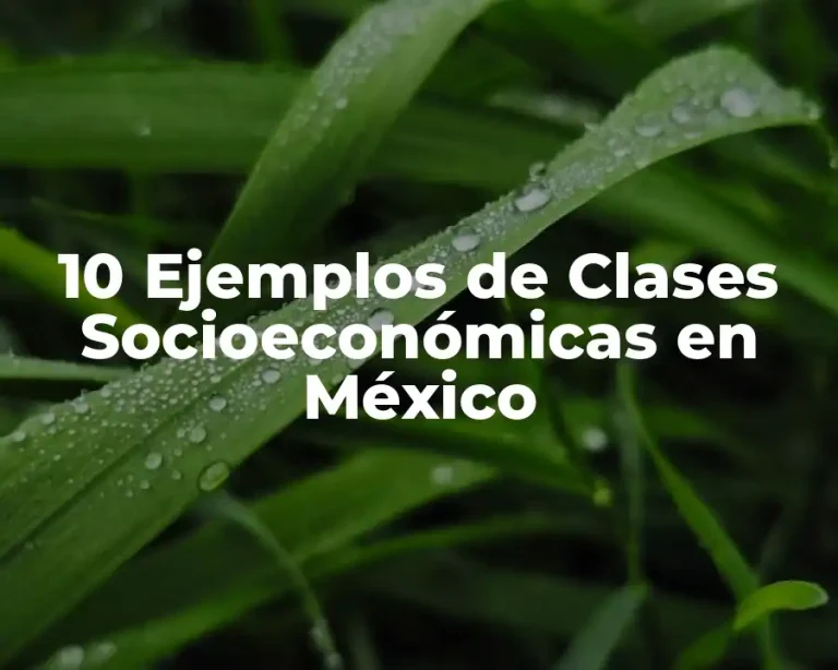 10 Ejemplos de Clases Socioeconómicas en México