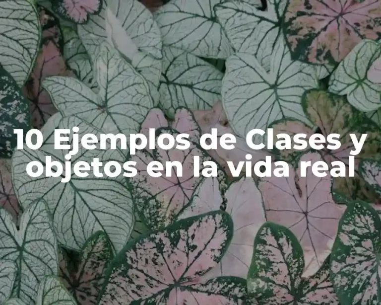 10 Ejemplos de Clases y objetos en la vida real