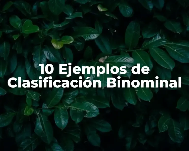 10 Ejemplos de Clasificación Binominal