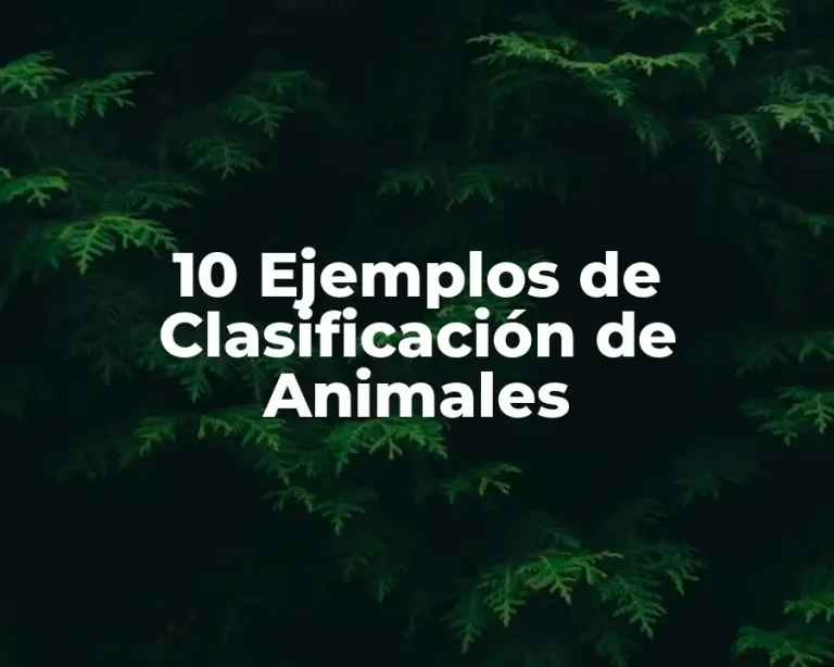 10 Ejemplos de Clasificación de Animales