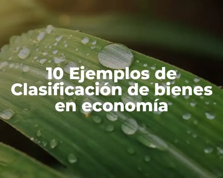 10 Ejemplos de Clasificación de bienes en economía