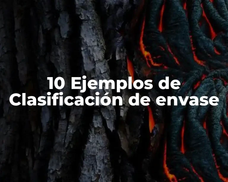 10 Ejemplos de Clasificación de envase