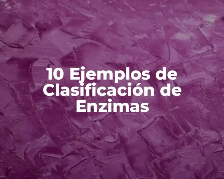 10 Ejemplos de Clasificación de Enzimas