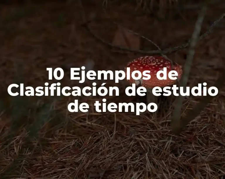 10 Ejemplos de Clasificación de estudio de tiempo