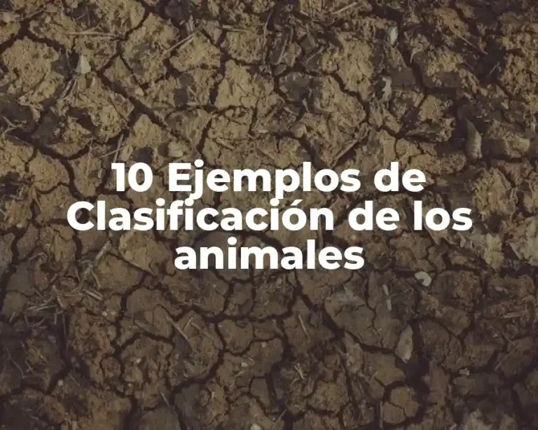 10 Ejemplos de Clasificación de los animales