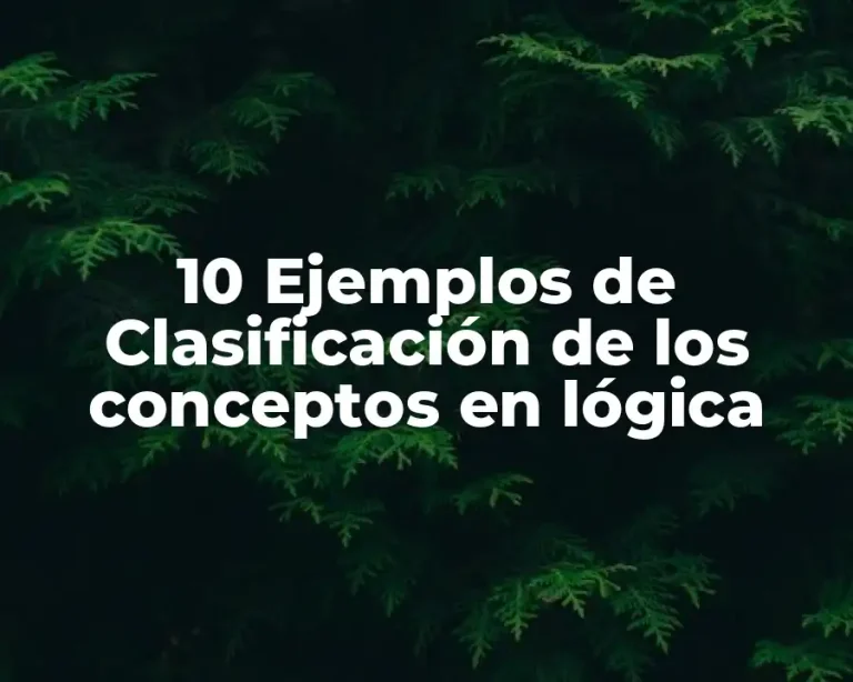 10 Ejemplos de Clasificación de los conceptos en lógica