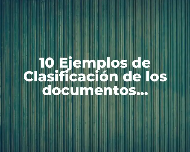 10 Ejemplos de Clasificación de los documentos buscadores específicos