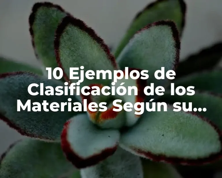 10 Ejemplos de Clasificación de los Materiales Según su Origen