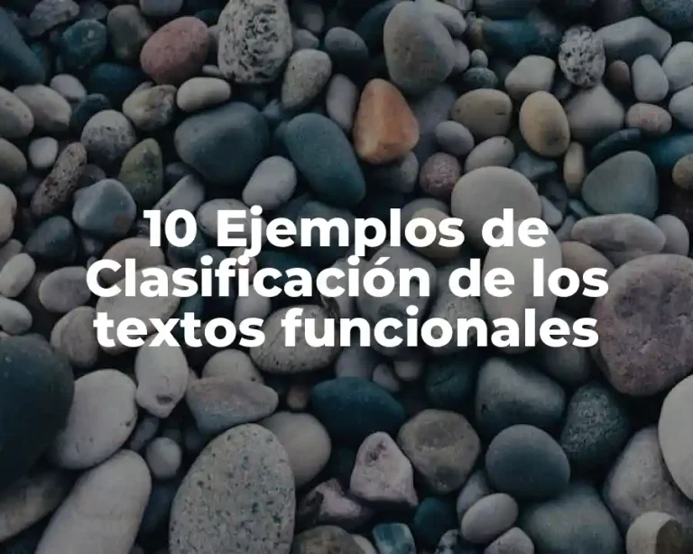 10 Ejemplos de Clasificación de los textos funcionales