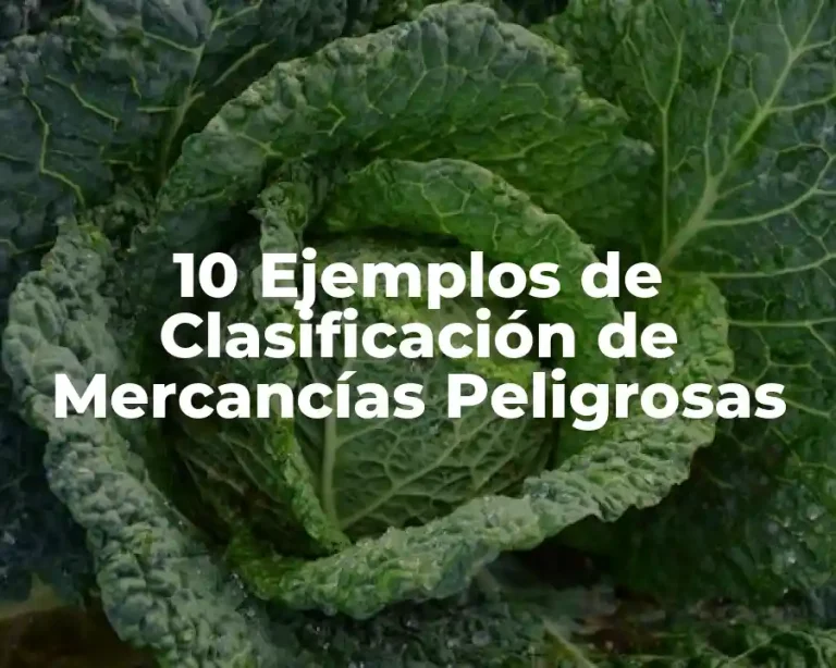 10 Ejemplos de Clasificación de Mercancías Peligrosas