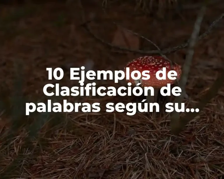 10 Ejemplos de Clasificación de palabras según su acento