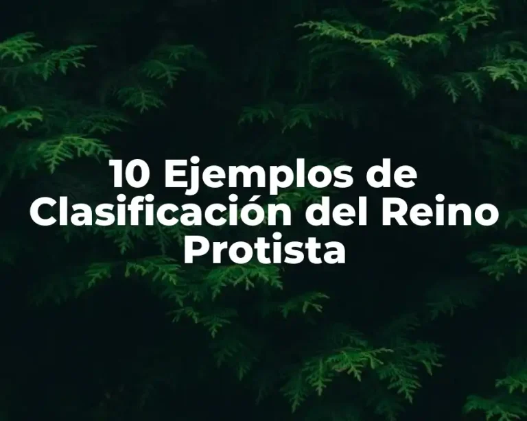 10 Ejemplos de Clasificación del Reino Protista