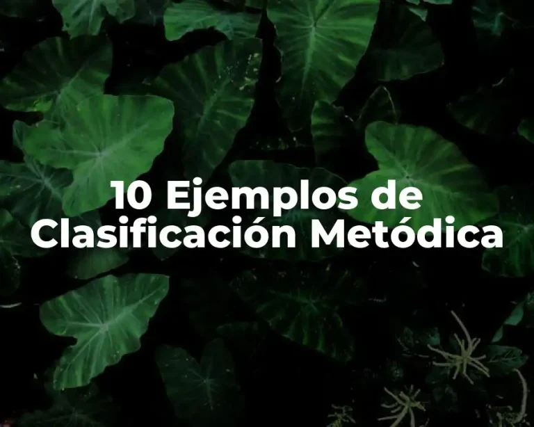 10 Ejemplos de Clasificación Metódica