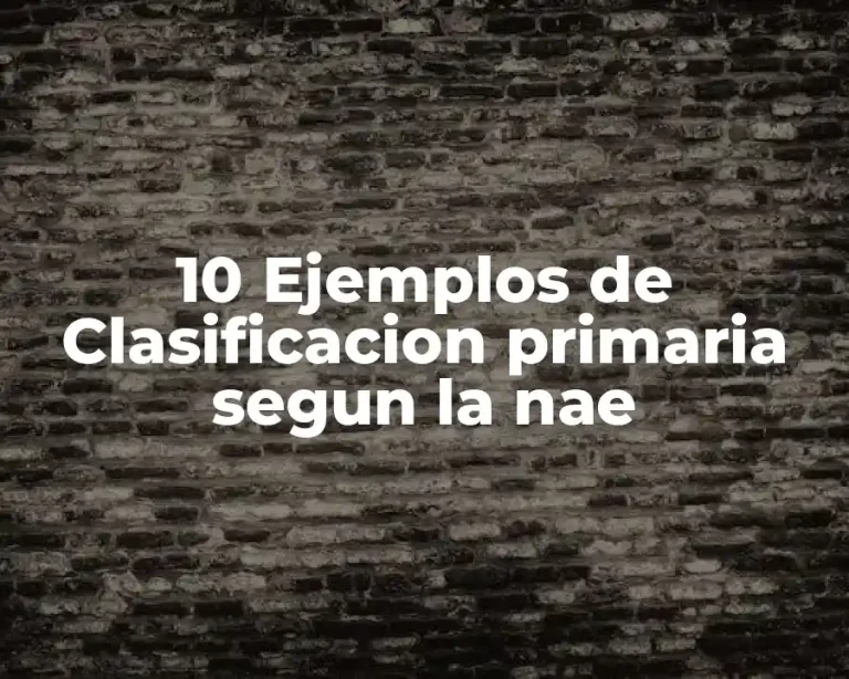 10 Ejemplos de Clasificacion primaria segun la nae
