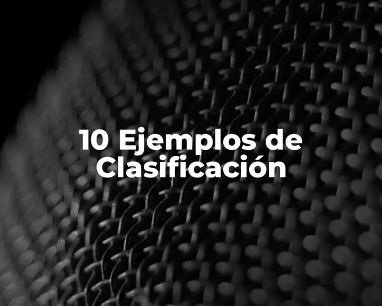 10 Ejemplos de Clasificación