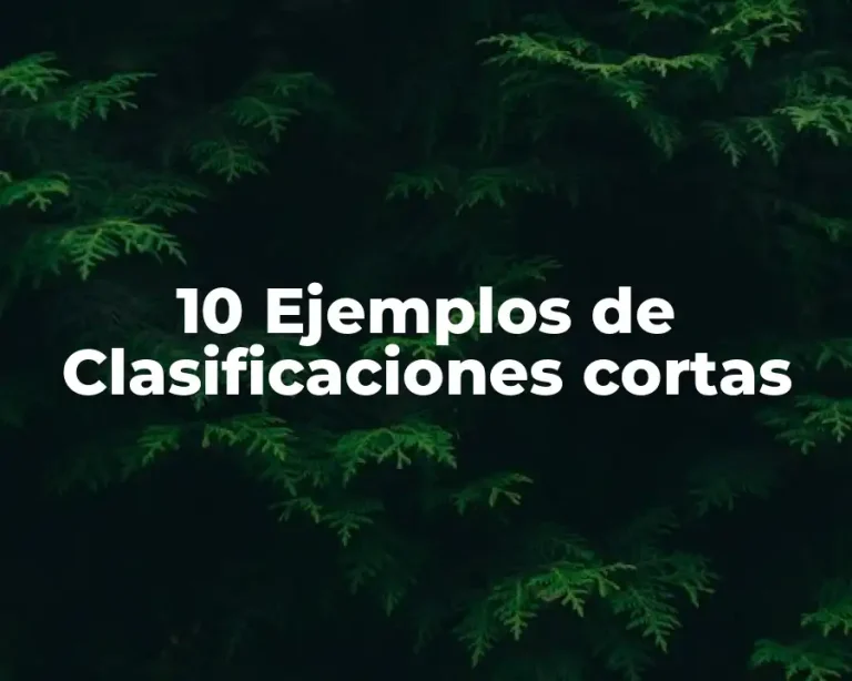 10 Ejemplos de Clasificaciones cortas