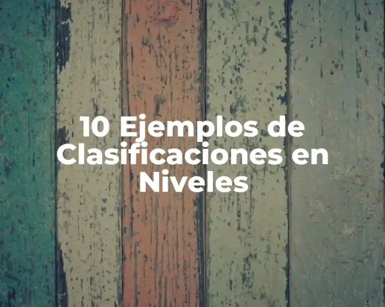 10 Ejemplos de Clasificaciones en Niveles