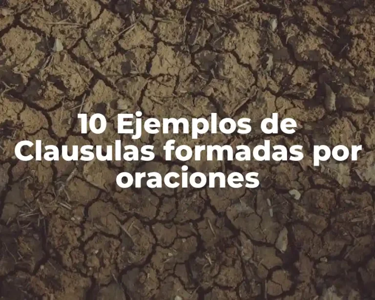 10 Ejemplos de Clausulas formadas por oraciones