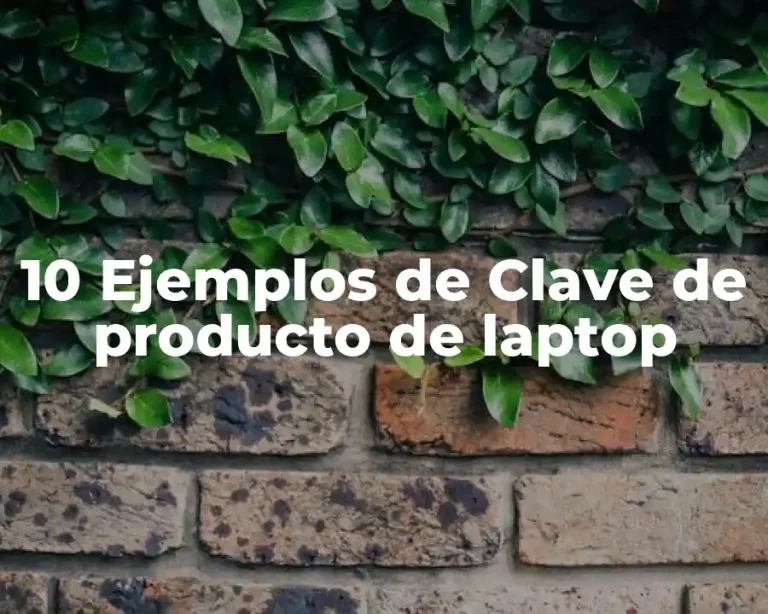10 Ejemplos de Clave de producto de laptop