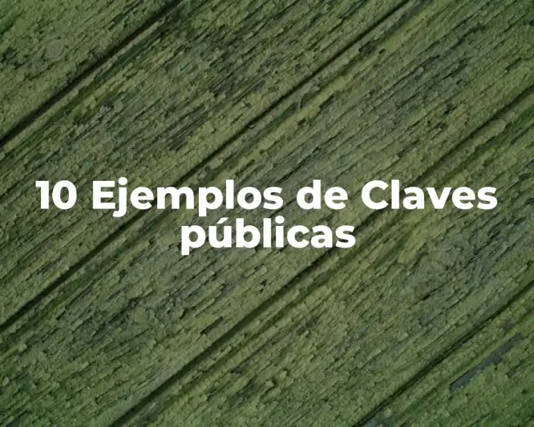10 Ejemplos de Claves públicas