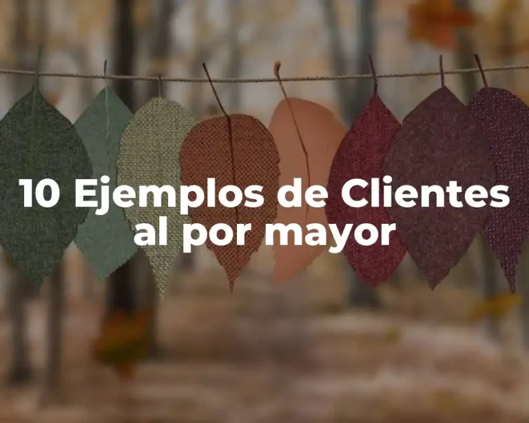 10 Ejemplos de Clientes al por mayor