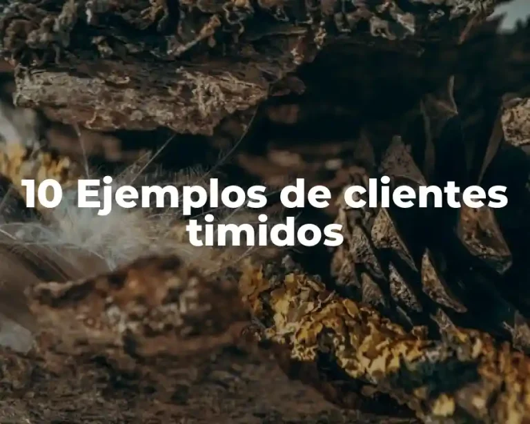 10 Ejemplos de clientes timidos