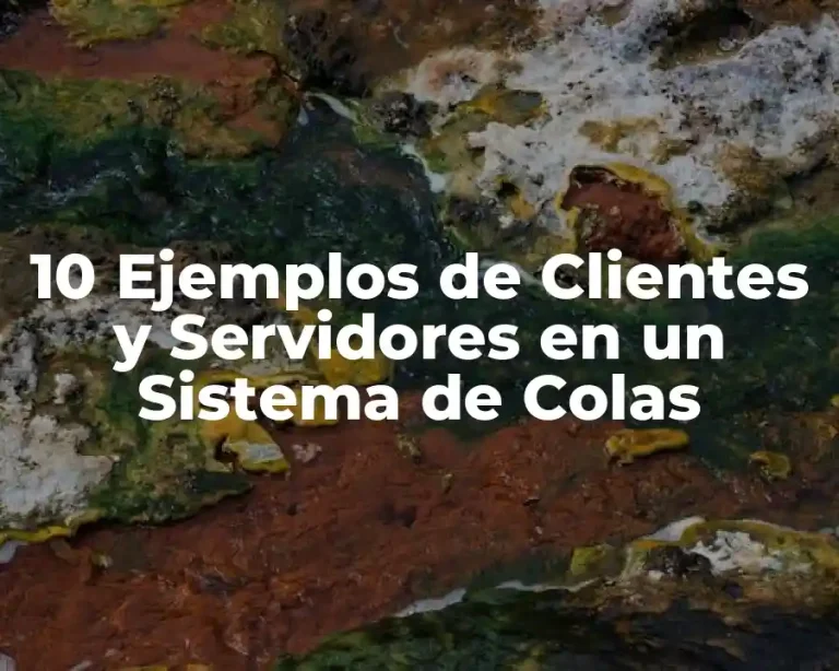 10 Ejemplos de Clientes y Servidores en un Sistema de Colas