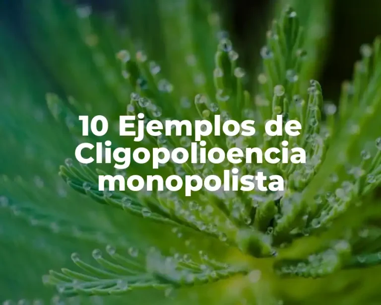 10 Ejemplos de Cligopolioencia monopolista
