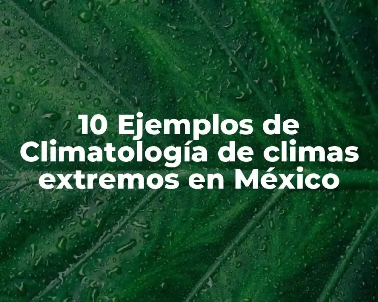 10 Ejemplos de Climatología de climas extremos en México