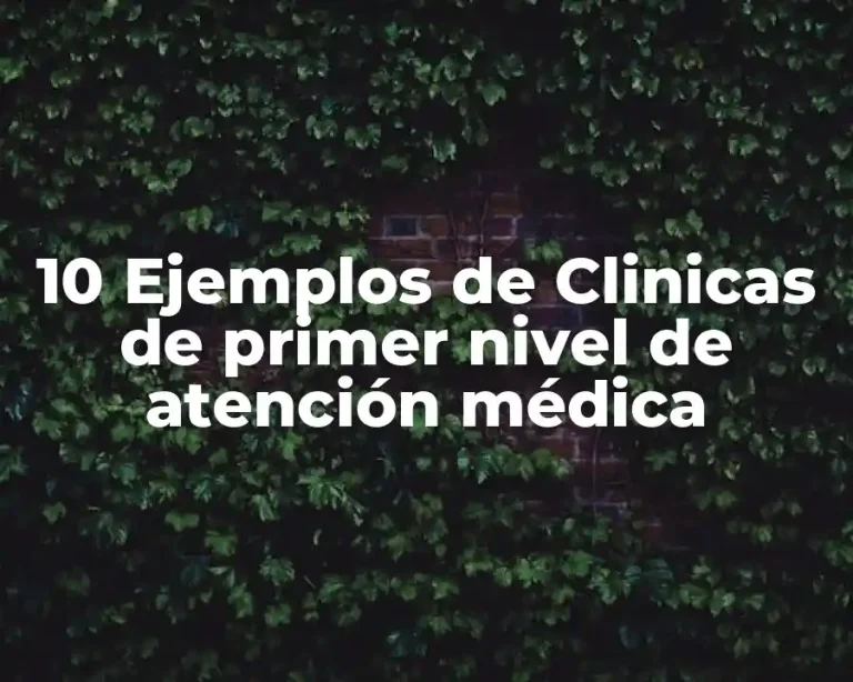 10 Ejemplos de Clinicas de primer nivel de atención médica