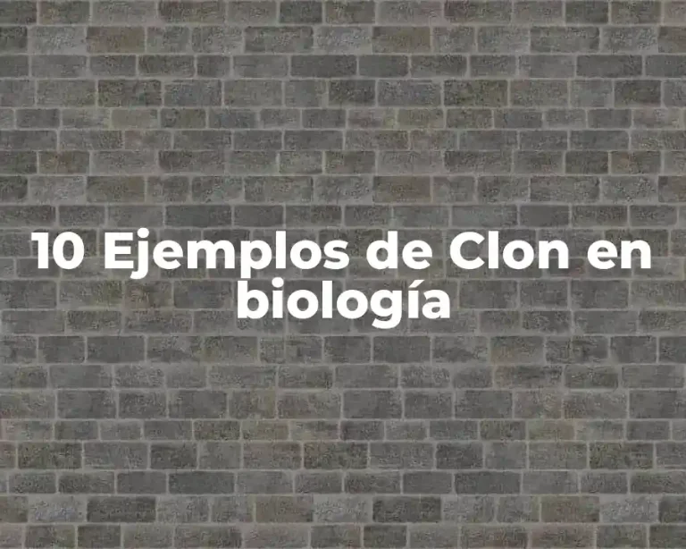 10 Ejemplos de Clon en biología