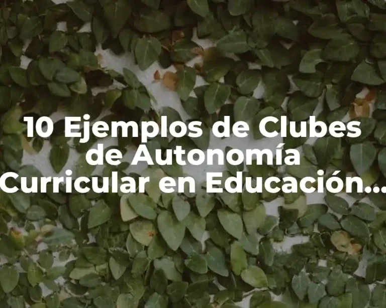 10 Ejemplos de Clubes de Autonomía Curricular en Educación Física