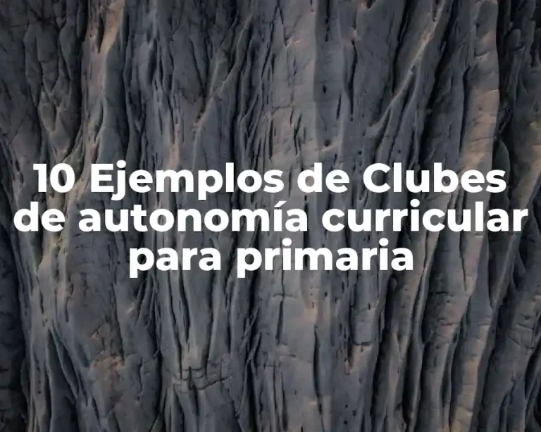 10 Ejemplos de Clubes de autonomía curricular para primaria