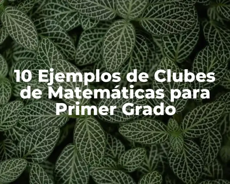 10 Ejemplos de Clubes de Matemáticas para Primer Grado