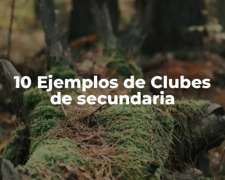 10 Ejemplos de Clubes de secundaria