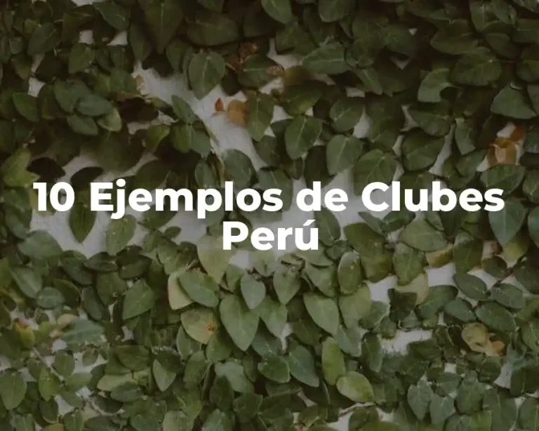 10 Ejemplos de Clubes Perú