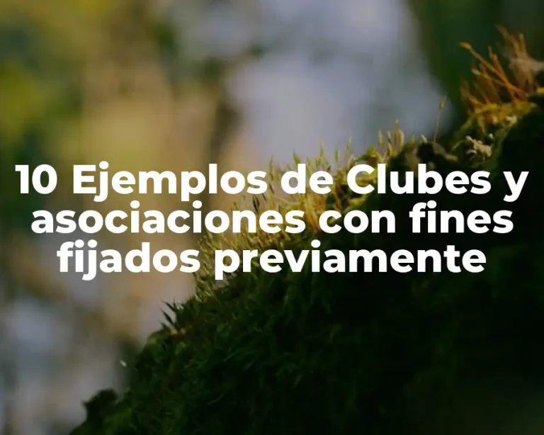 10 Ejemplos de Clubes y asociaciones con fines fijados previamente