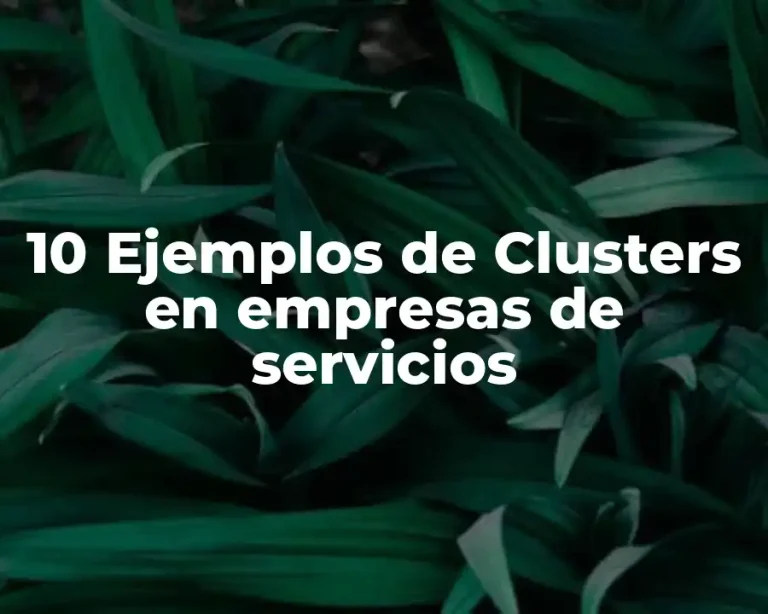 10 Ejemplos de Clusters en empresas de servicios