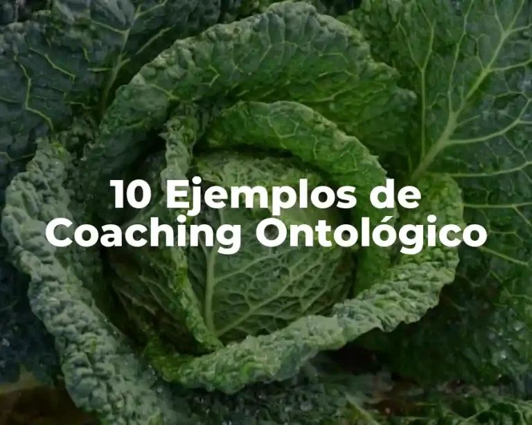 10 Ejemplos de Coaching Ontológico