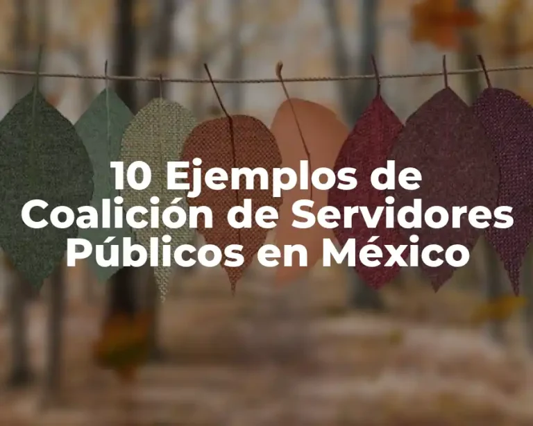 10 Ejemplos de Coalición de Servidores Públicos en México