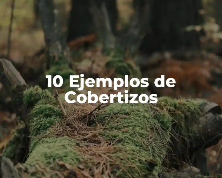 10 Ejemplos de Cobertizos